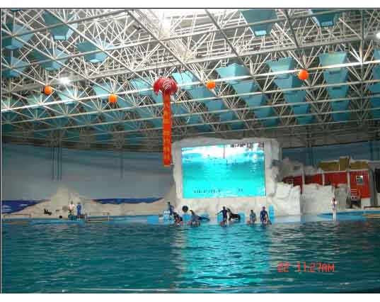 南宁游泳馆螺栓球网架